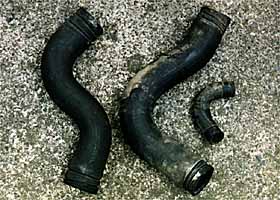 Radiator Hoses